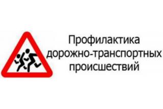 Профилактика дорожной аварийности с участием детей пассажиров